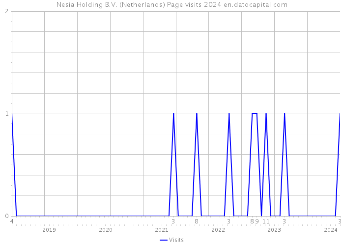 Nesia Holding B.V. (Netherlands) Page visits 2024 