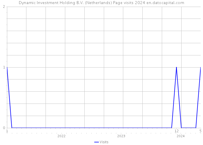 Dynamic Investment Holding B.V. (Netherlands) Page visits 2024 