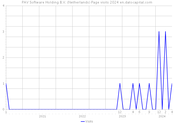 PAV Software Holding B.V. (Netherlands) Page visits 2024 