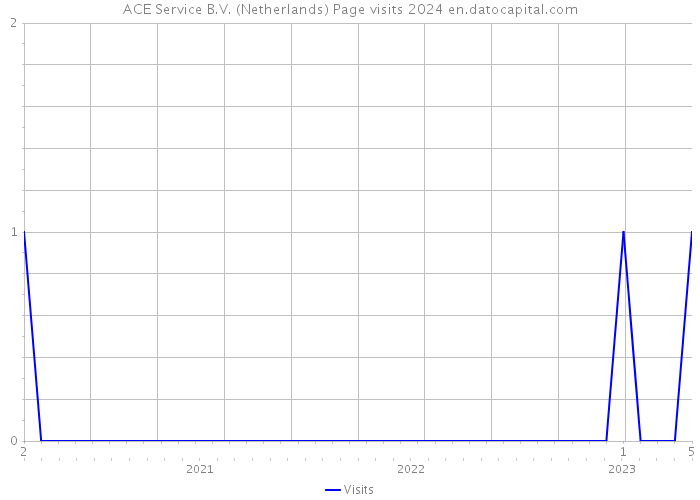ACE Service B.V. (Netherlands) Page visits 2024 