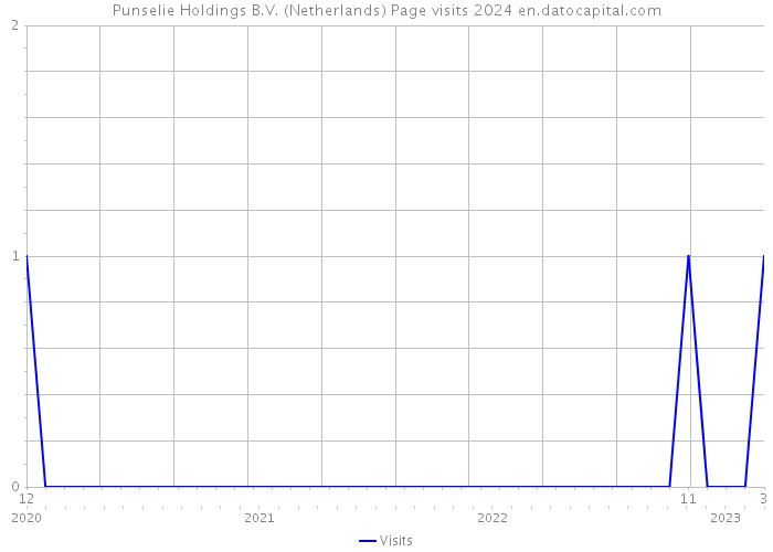 Punselie Holdings B.V. (Netherlands) Page visits 2024 