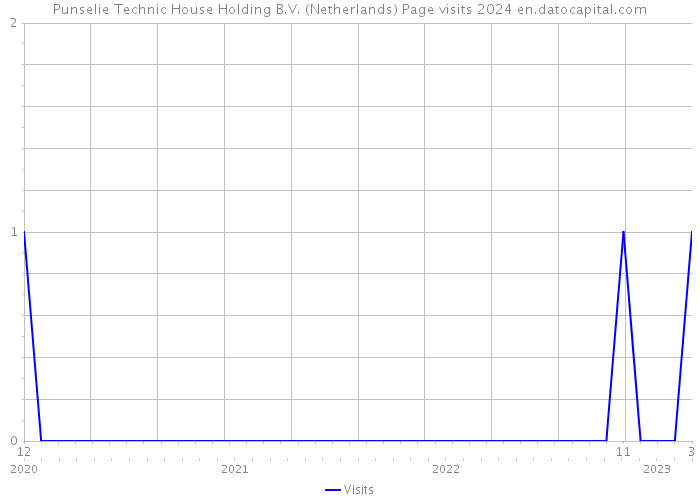 Punselie Technic House Holding B.V. (Netherlands) Page visits 2024 