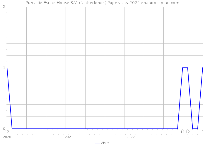 Punselie Estate House B.V. (Netherlands) Page visits 2024 