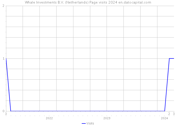Whale Investments B.V. (Netherlands) Page visits 2024 
