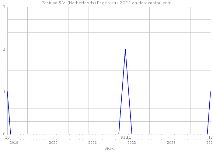 Positiva B.V. (Netherlands) Page visits 2024 