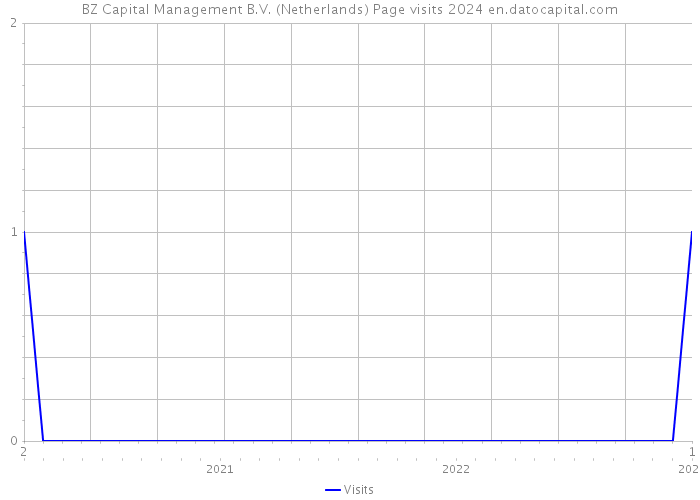 BZ Capital Management B.V. (Netherlands) Page visits 2024 
