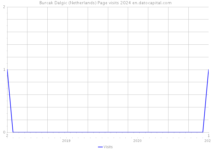 Burcak Dalgic (Netherlands) Page visits 2024 
