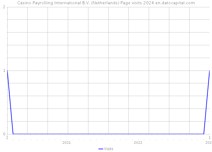 Casino Payrolling International B.V. (Netherlands) Page visits 2024 