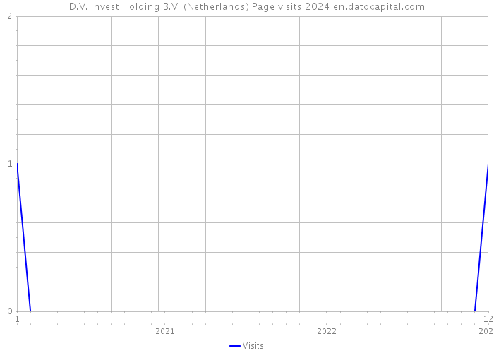 D.V. Invest Holding B.V. (Netherlands) Page visits 2024 