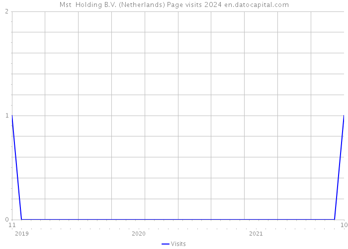 Mst+ Holding B.V. (Netherlands) Page visits 2024 