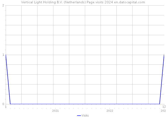 Vertical Light Holding B.V. (Netherlands) Page visits 2024 