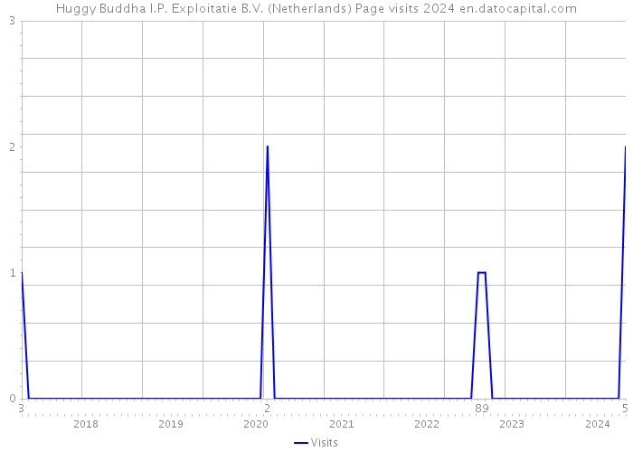 Huggy Buddha I.P. Exploitatie B.V. (Netherlands) Page visits 2024 
