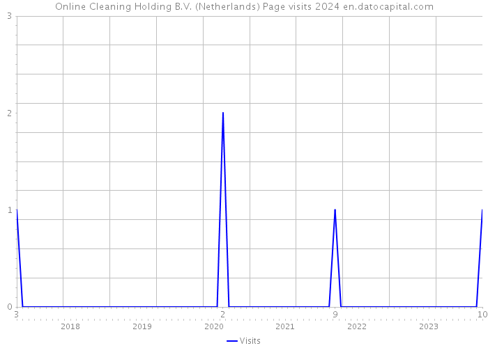 Online Cleaning Holding B.V. (Netherlands) Page visits 2024 