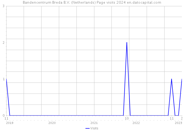 Bandencentrum Breda B.V. (Netherlands) Page visits 2024 