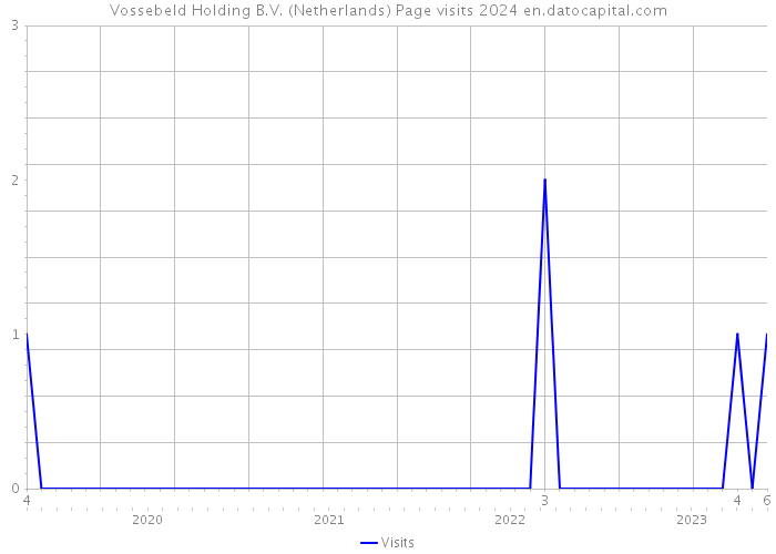 Vossebeld Holding B.V. (Netherlands) Page visits 2024 