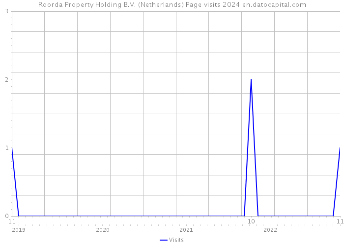 Roorda Property Holding B.V. (Netherlands) Page visits 2024 