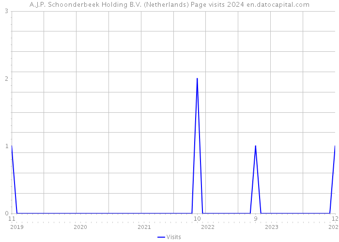 A.J.P. Schoonderbeek Holding B.V. (Netherlands) Page visits 2024 