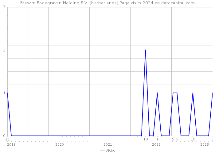 Brasem Bodegraven Holding B.V. (Netherlands) Page visits 2024 