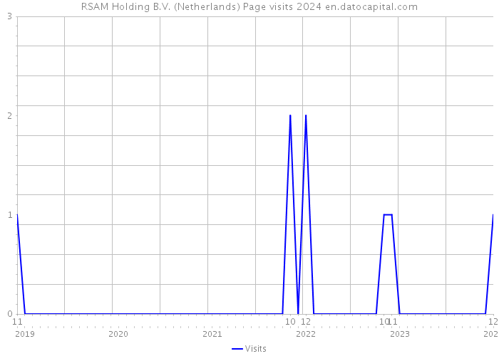 RSAM Holding B.V. (Netherlands) Page visits 2024 