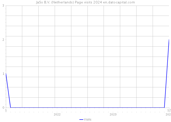 JaSo B.V. (Netherlands) Page visits 2024 