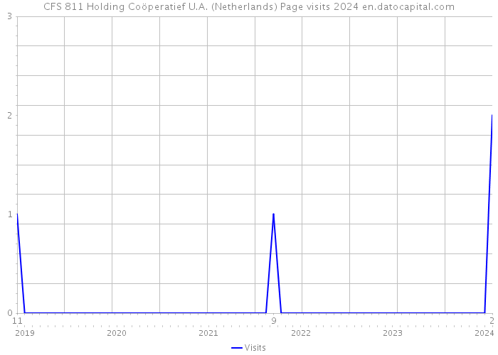 CFS 811 Holding Coöperatief U.A. (Netherlands) Page visits 2024 