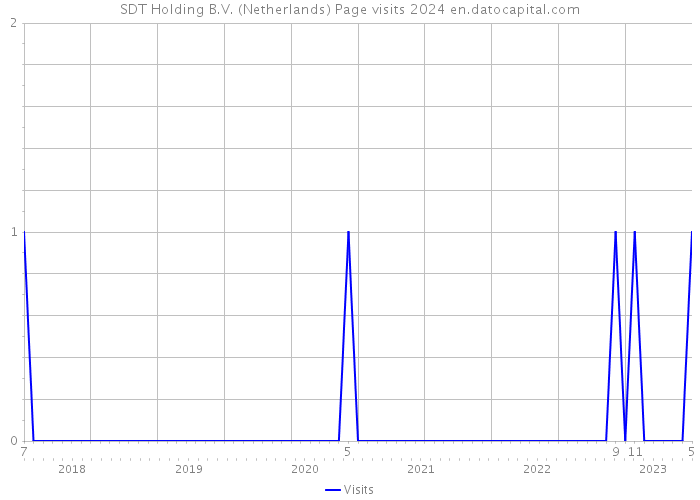 SDT Holding B.V. (Netherlands) Page visits 2024 