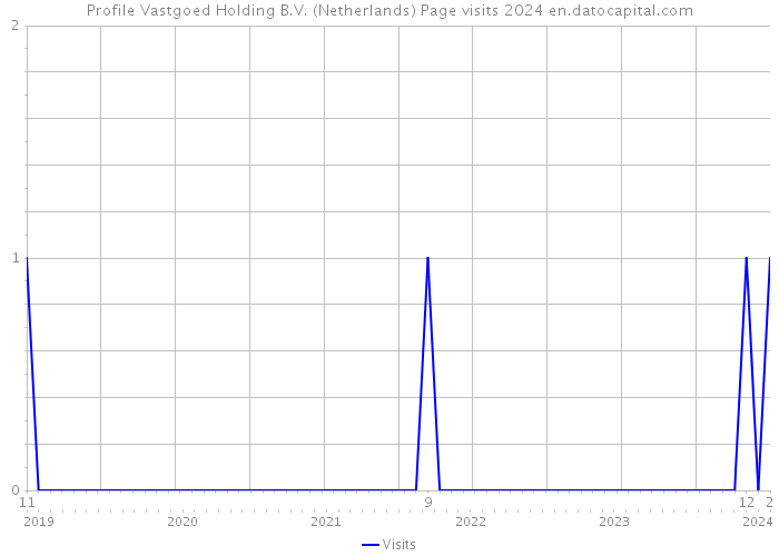 Profile Vastgoed Holding B.V. (Netherlands) Page visits 2024 