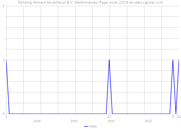 Holding Ahmed Abdellaoui B.V. (Netherlands) Page visits 2024 