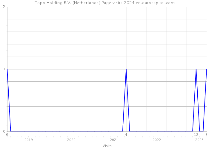Topo Holding B.V. (Netherlands) Page visits 2024 