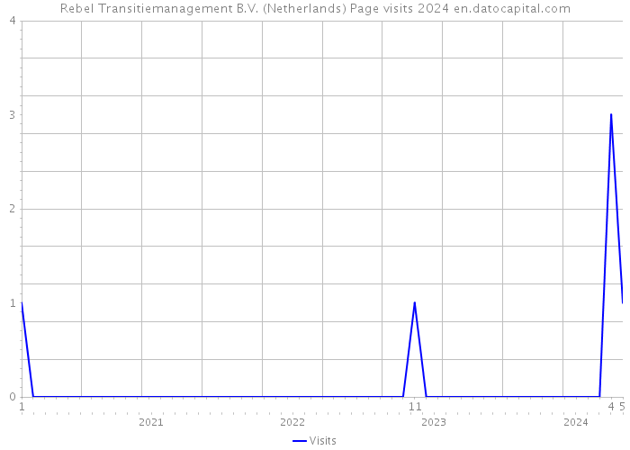 Rebel Transitiemanagement B.V. (Netherlands) Page visits 2024 