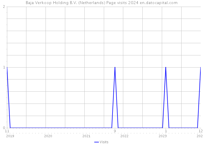 Baja Verkoop Holding B.V. (Netherlands) Page visits 2024 