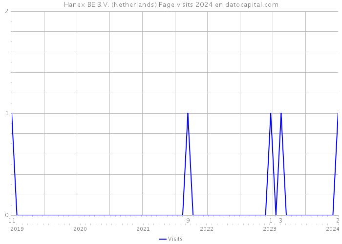 Hanex BE B.V. (Netherlands) Page visits 2024 