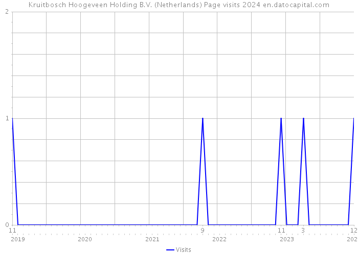 Kruitbosch Hoogeveen Holding B.V. (Netherlands) Page visits 2024 