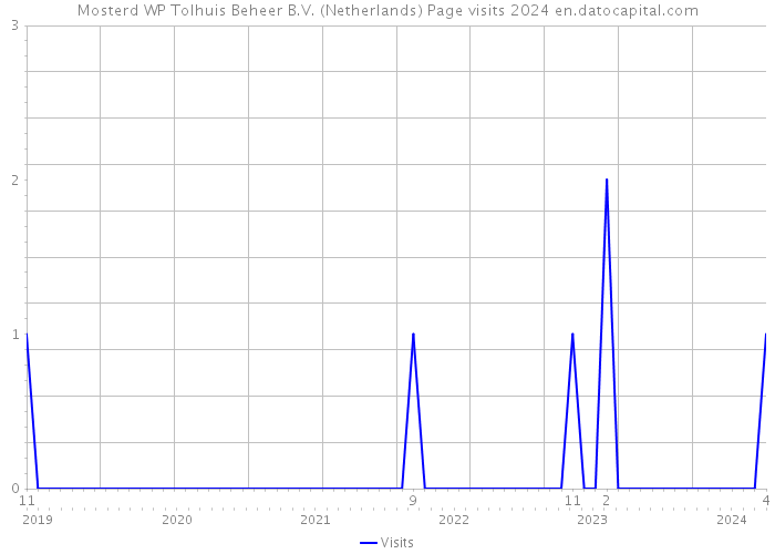 Mosterd WP Tolhuis Beheer B.V. (Netherlands) Page visits 2024 