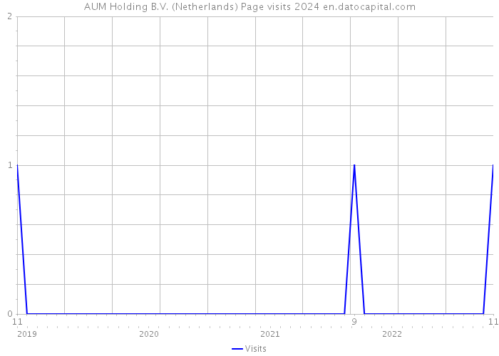 AUM Holding B.V. (Netherlands) Page visits 2024 