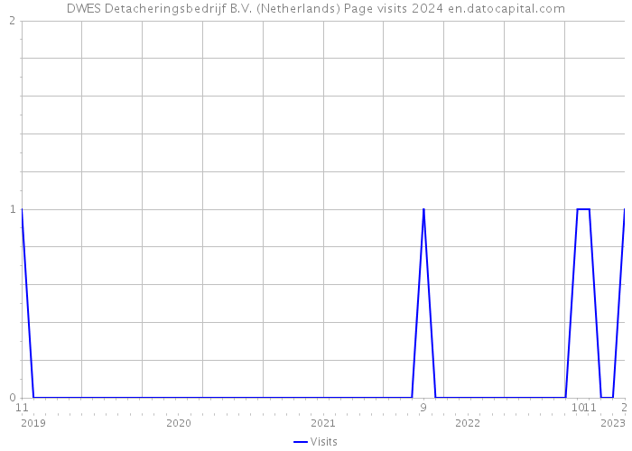 DWES Detacheringsbedrijf B.V. (Netherlands) Page visits 2024 