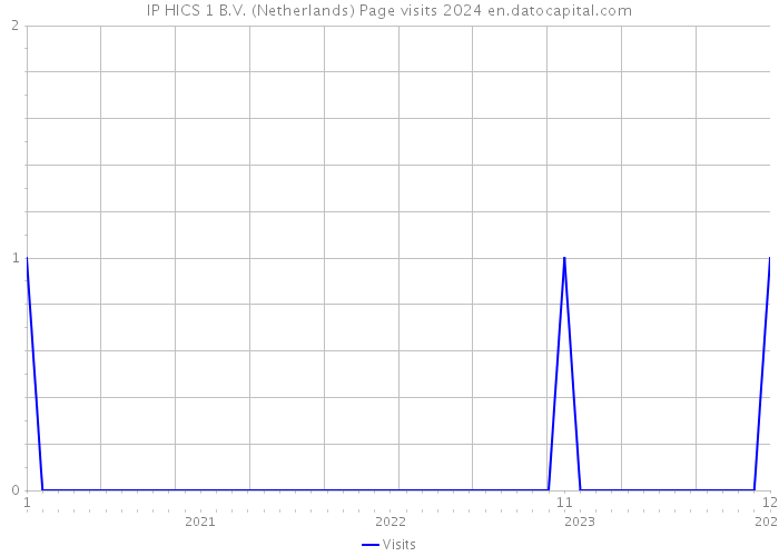 IP HICS 1 B.V. (Netherlands) Page visits 2024 