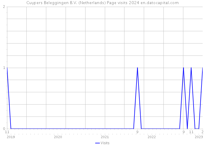 Cuypers Beleggingen B.V. (Netherlands) Page visits 2024 