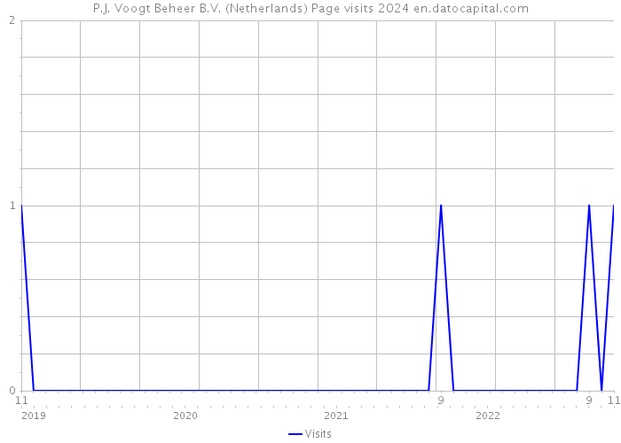 P.J. Voogt Beheer B.V. (Netherlands) Page visits 2024 