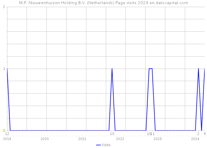 M.P. Nieuwenhuizen Holding B.V. (Netherlands) Page visits 2024 