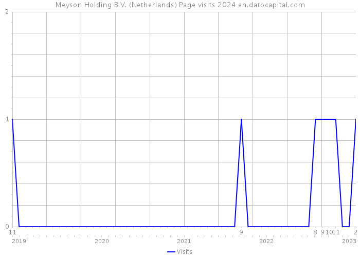 Meyson Holding B.V. (Netherlands) Page visits 2024 