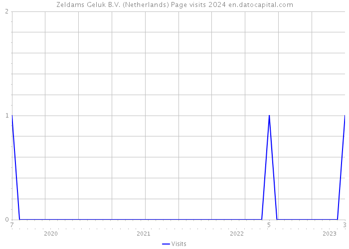 Zeldams Geluk B.V. (Netherlands) Page visits 2024 