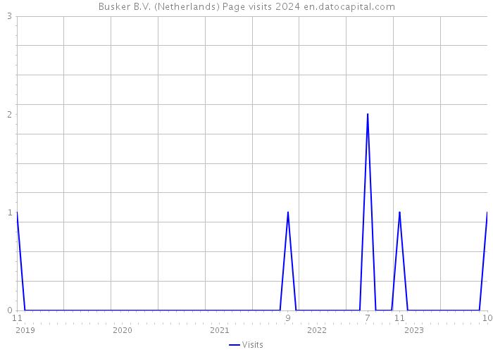 Busker B.V. (Netherlands) Page visits 2024 