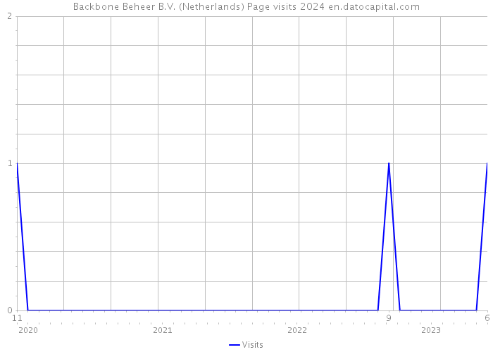 Backbone Beheer B.V. (Netherlands) Page visits 2024 