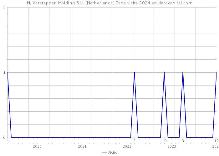 H. Verstappen Holding B.V. (Netherlands) Page visits 2024 