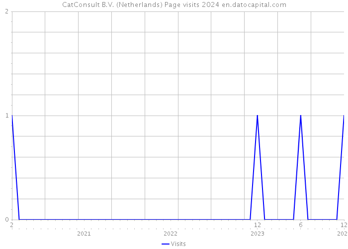 CatConsult B.V. (Netherlands) Page visits 2024 