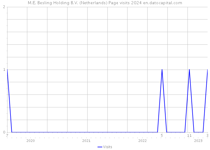 M.E. Besling Holding B.V. (Netherlands) Page visits 2024 