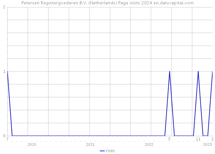 Petersen Registergoederen B.V. (Netherlands) Page visits 2024 