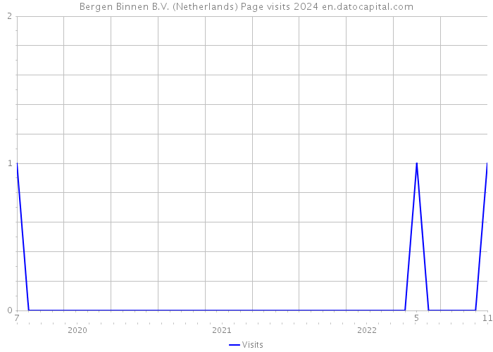 Bergen Binnen B.V. (Netherlands) Page visits 2024 