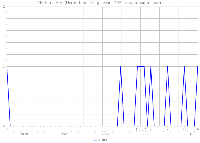 Methorst B.V. (Netherlands) Page visits 2024 